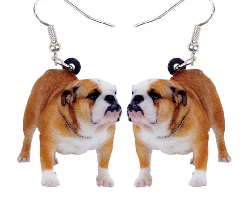 Oorbellen Engelse Bulldog Staand